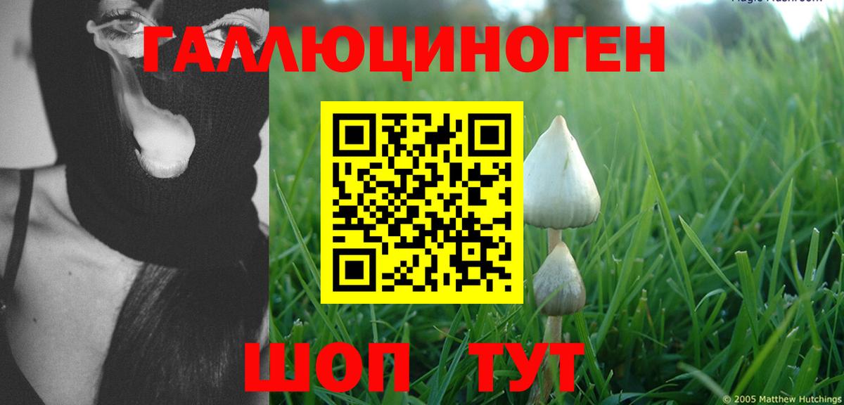 Псилоцибиновые грибы прущие грибы  Псилоцибиновые грибы мухоморы  Ковров  Вход с VPN 